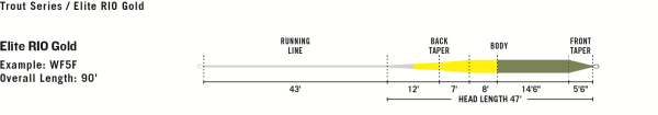 RIO Elite Gold Fly Line Taper RIO Elite Gold Fly Line Taper